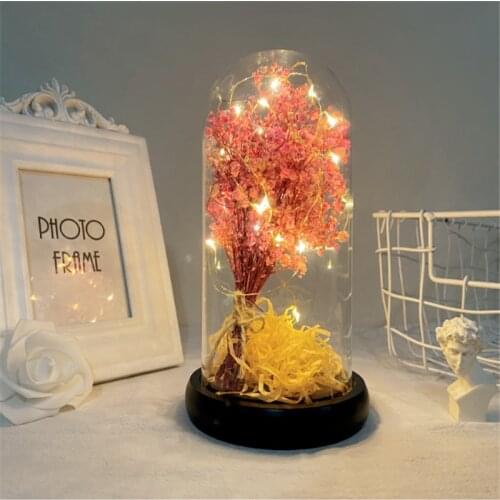 Led Copper light Bedroom Dried Flower Glass Dome Handmade Eternal Flower Decoration Natural Gypsophila for Home Wedding Birthday