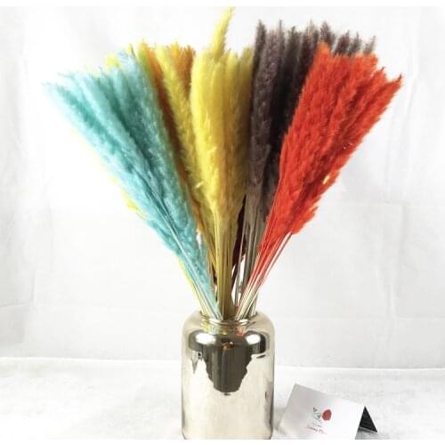Reed Dried Flower Bouquet Wedding Shooting Props Home Decoration Ornaments