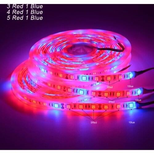 5M LED Phyto Lamps Full Spectrum LED Strip Light 12V 300LEDs 5050 Chip LED Fitolampy Grow Lights For Greenhouse Hydroponic plant