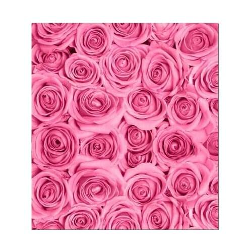 VinylBDS Photo Studio Backdrop Retro Pink Rose Flowers For Newborn Child Photography Background