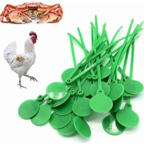 20/50/100 Pcs Chicken Foot Strap Poultry Identity Plate Tie Charm Leg Bands Poultry Species Distinguish Gadget Livestock Signage