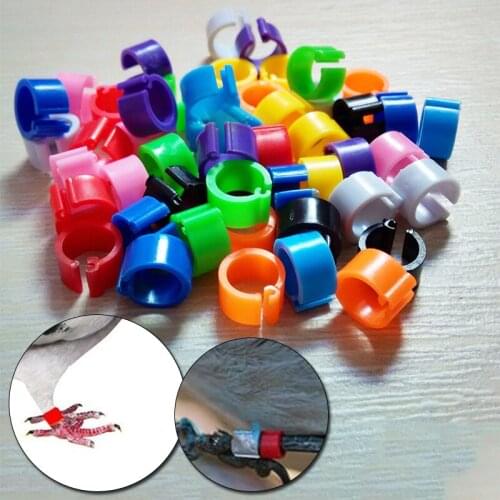 100Pcs 8mm Identification Multicolor Pigeon Foot Ring Durable Bird Ring Racing Pigeon Foot Ring Parrot Clip Rings Bird Appliance