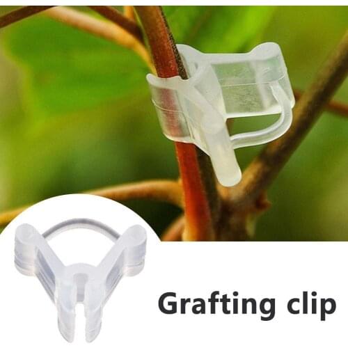 100pcs Grafting Clip Gardening Vegetable Flower Vine Bushes Plants Garden Plastic Transparent Vegetable Flower Ornaments Tools