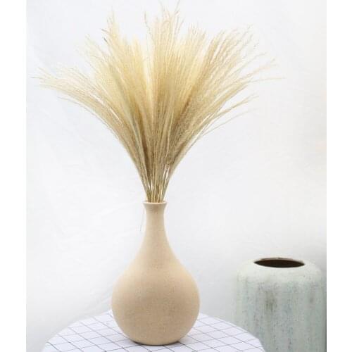 Natural Dried Pampas Grass Decor Real Artificial Flowers Bouquet for Wedding Venue Layout Elegant Indoor Home Decor Wholesale