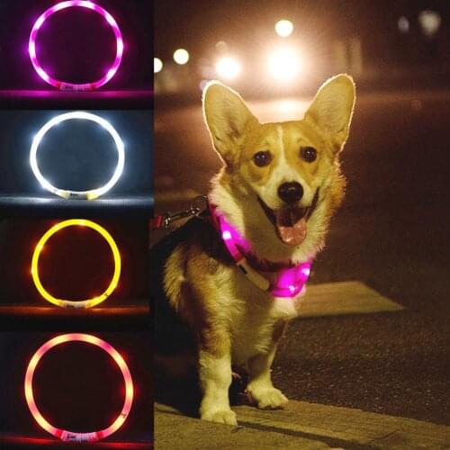 USB Rechargeable Glowing Night Safety LED Round Tube Puppy Dog Collar Pet Suppy