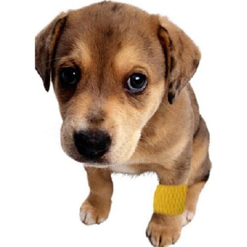 1pc 450*5cm Pet Bandage Roll Vet Bandage Animal Bandage Airsoftsports Tactical Tape Knee Support Pet Care 7 Colors