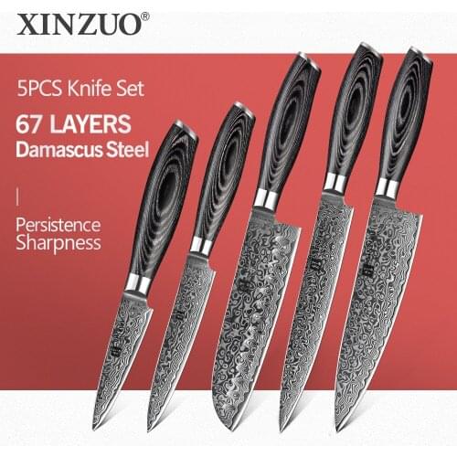 XINZUO 5 PCS Kitchen Knife Set 67 Layer Japanese VG10 Damascus Steel Cleaver Meat Chef Utility Kitchen Knives Pakka Wood Handle