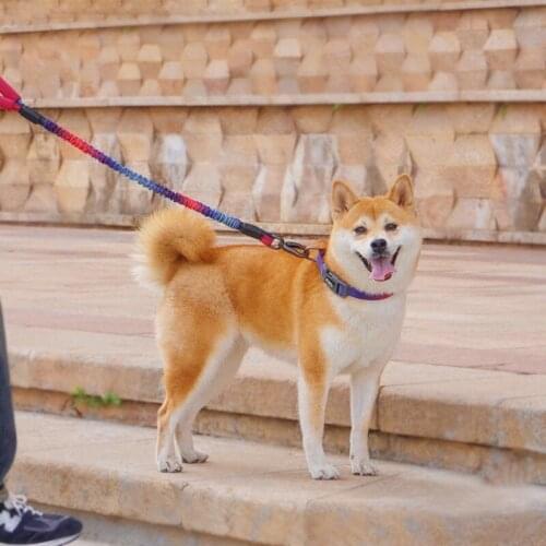 A Dog Leash Slip Rope Lead Leash Heavy Duty Rope Adjustable Loop Collar Training Leashes for Small Medium Large Dogs