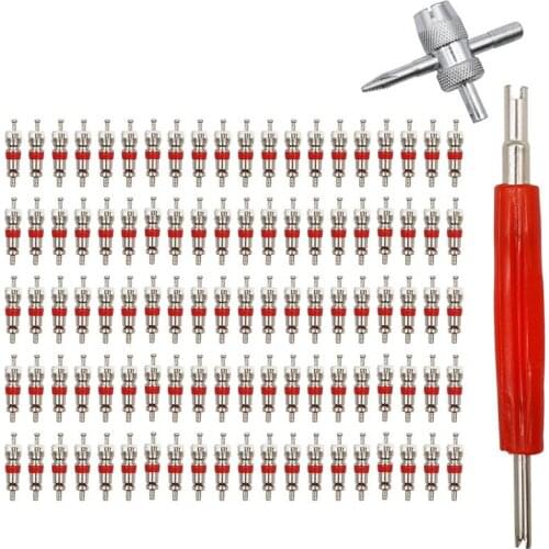 100 PCS Tire Valve Stem Core & Dual Head Valve Core Remover Tool & 4-Way Valve Tool