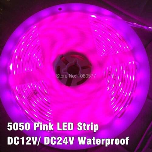 New DC12v / DC24v 5050 SMD Pink Color LED strip waterproof 60 LEDs/M 5M/roll Flexible Light Strips
