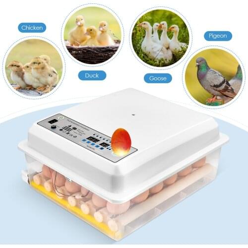 220V Eggs Incubator Brooder Bird Quail Chick Hatcher Automatic Incubator Poultry Hatcher Turner Farm Automatic Incubation Tools