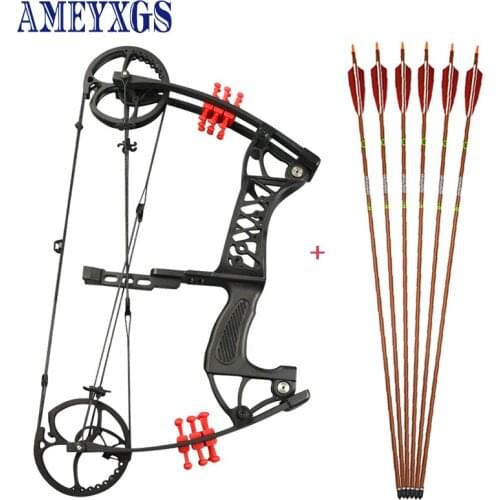 1set 30-55lbs Archery Pinball Compound Bow Alloy Classic Design Adjustable With Carbon Arrow and Bow Limb Stablizer Hunting Bow