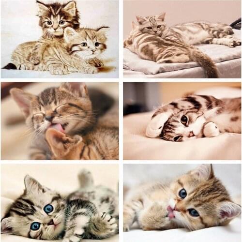 HUACAN Diamond Painting Cat Full Square Diamond Embroidery Mosaic Cross Stitch Animal Decor For Home New Arrival