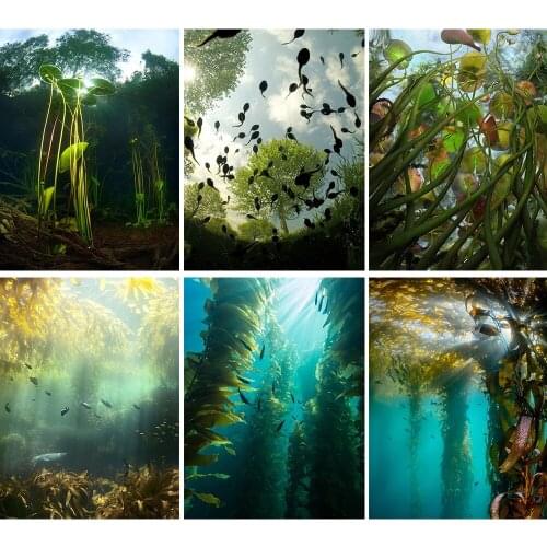 YANLIANGZUQI 5D DIY Full Circle Diamond Embroidery "underwater World" Theme Map Handmade Decoration Decoration Hanging Picture