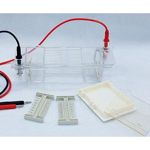 DYCP-31BN/CN/DN agarose level electrophoresis instrument DNA nucleic acid electrophoresis instrument