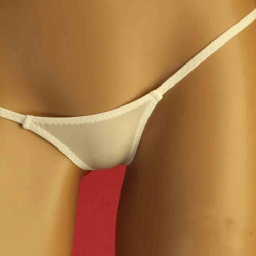 Sexy low-Rise Ice Silk Transparent Sexy G-string Panties Sexy G string Micro Thong Plus Size Women Knickers Smooth Briefs FX05
