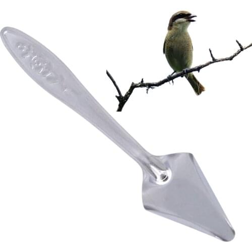 Creative Stainless Steel Spoon Milk Powder Feeding Pet Parrot Chick Spoon Funny Practical Feeding Spoon Bird Parrot Supplies