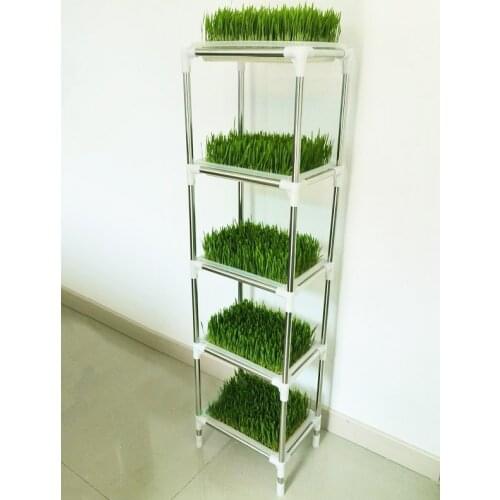 Hydroponic Wheatgrass Growing Trays 5 Layers Wheat Grass Grower Seeding Nursery Pot Tray Stand Plant Pot Base Stand
