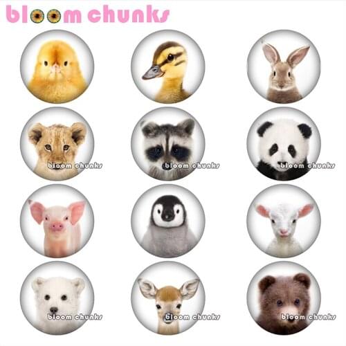 Round photo glass cabochon animals head bear panda bunny duck demo flat back Making findings 12mm/18mm/20mm/25mm A8225