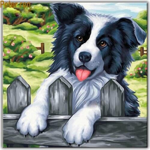 Peter ren Diy Diamond painting cross stitch 5d Square or Round diamond mosaic Rhinestone Full Diamond embroidery "Border Collie"