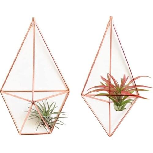 4Pack Wall Mounted Air Plants Holder Geometric Plant Holder 2 Shapes Tillandsia Rack Accent Decor Air Fern Himmeli Decor