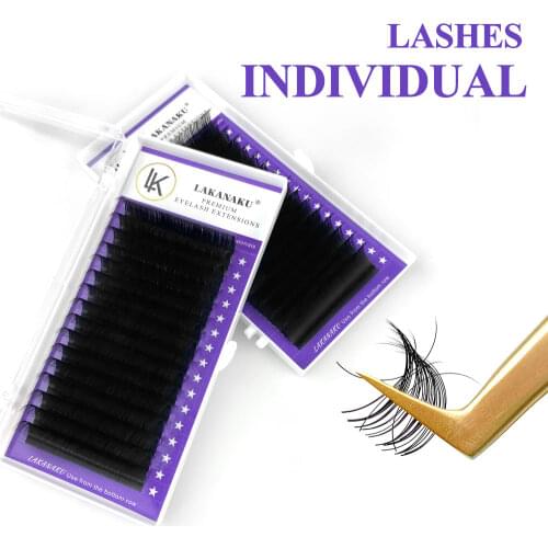 LAKANAKU Individual Eyelashes C D Private Label Mink Eyelash Extensions False Classic Eyelash Lash Extension Makeup