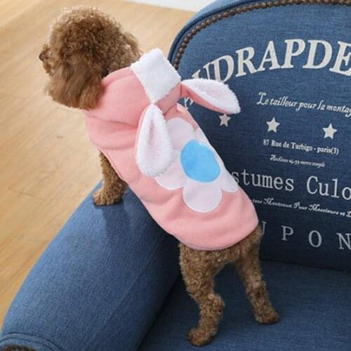 Winter Dog Clothes Teddy Rabbit Ear Hoodie Two-legged Cotton Coat Dog Flannel Clothes Coral-Fleece Winter Jumpsuit Pet Supplies
