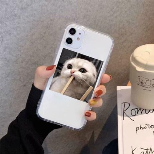 JAMULAR Cute Cartoon Cat Phone Case For iPhone 11 Pro Max 12 Mini 7 SE 20 X XS XR 8 6Plus Lovely Transparent Soft Silicone Cover