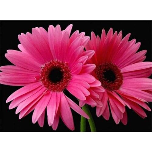 DIY Square Diamond Painting RED Daisy Flowers Cross Stitch Kits Diamond Mosaic crystal Embroidery Patterns Rhinestones BW13R