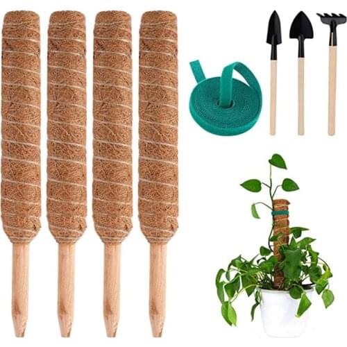 Опоры для растений TINGHAO China At AliExpress