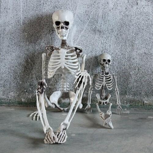Halloween Party Decoration Poseable 90cm Human Skull Skeleton Anatomical Skeleton Party Prop Decor
