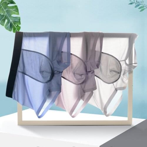 D Handsome Men's Transparent Briefs