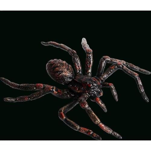 Childrens simulation wild animal insect model Halloween black spider spider spider toy red tricky P6D5