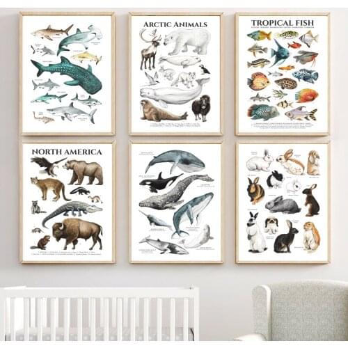 Wildlife Dolphin Bear Deer Rabbit Penguin Whale Wall Art Canvas Painting Nordic Posters And Prints Wall Pictures Kids Room Decor