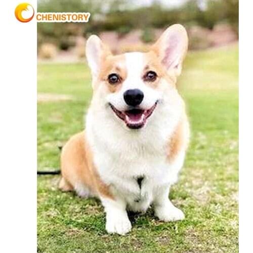 CHENISTORY 60x75cm Framed Painting By Numbers Cute Smile Dog Animal Picture By Number HandPainted Home Kids Bedroom Photo