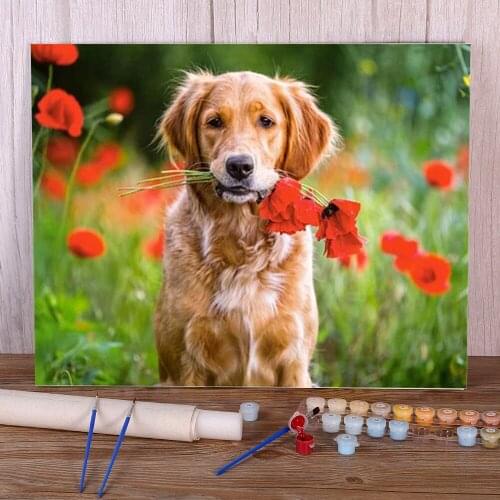 Animal Dog Paint By Numbers Kit Acrylic Paints 40*50 Canvas Pictures Wall Paintings For Adults Handicraft Wholesale