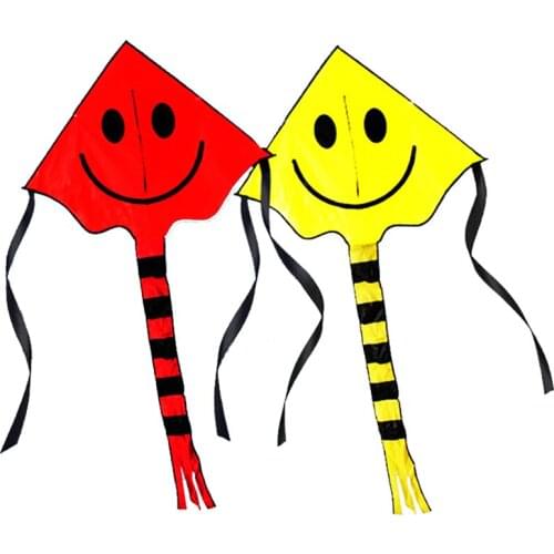 Factory Outlet delta Kite With Flying Tools