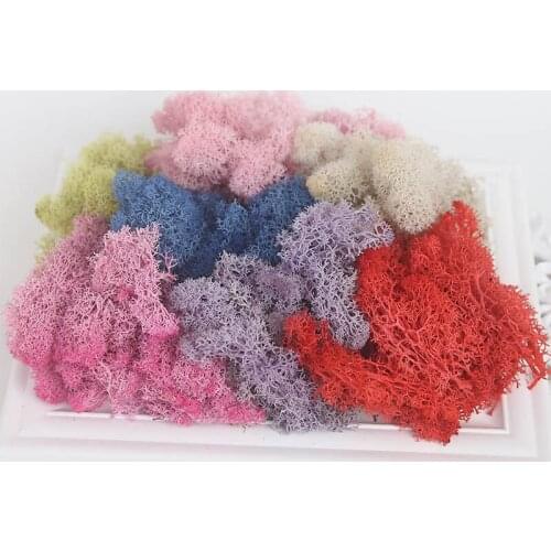 10g/pack Artificial plant Eternal Life Moss Home Garden Micro Landscape DIY Flower Material Living moss Gift Box Supplies