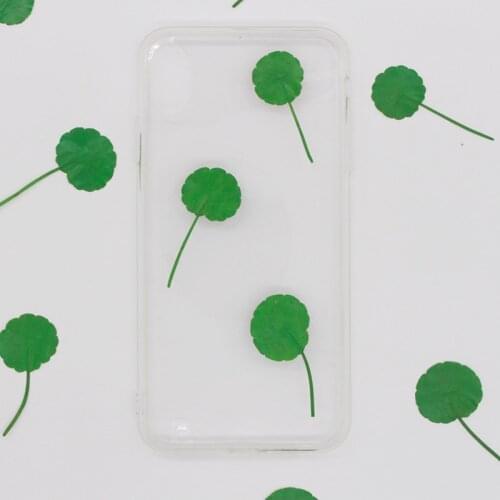 60pcs,natural Hydrocotyle Verticillata petals Embossing,one side dying Pressed Flower,DIY Bookmark Card Photo Gift Decoration
