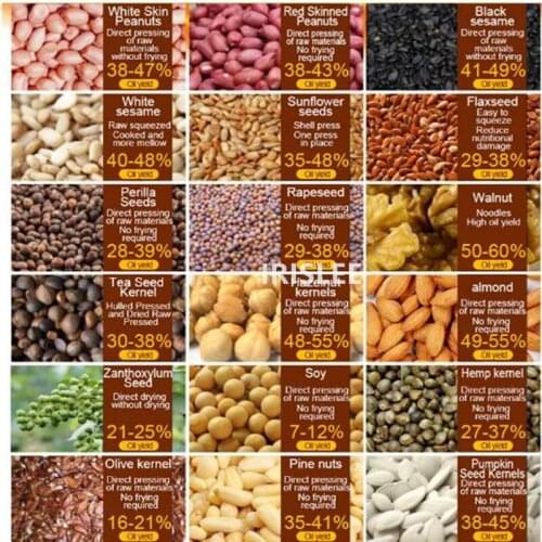 Stainless steel automatic home coconut oil press machine for coconut oil, cold coconut oil press machine