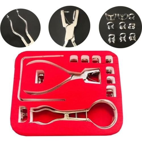 Dental Dam Hole Puncher Set Puncher Pliers for Dentist Dental Dam Perforator Dental Rubber Dam Puncher Orthodontic Tools