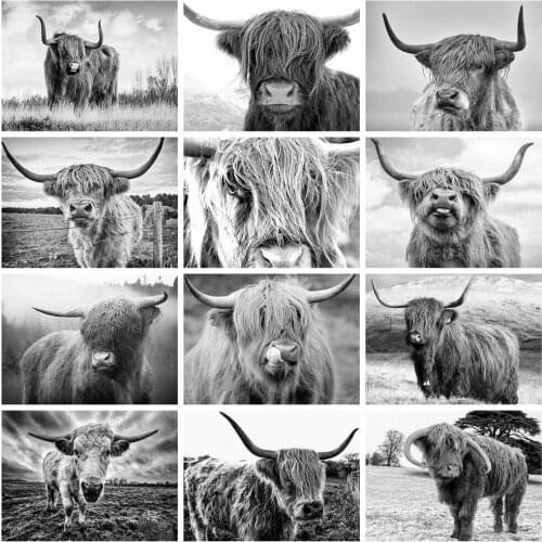 Huacan 5D DIY Diamond Painting Cow Animals Diamond Embroidery Mosaic Black And White Modular Pictures Needlework Home Decoration