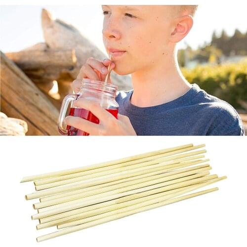 Behogar 100PCS Eco-friendly Biodegradable Disposable Wheat Straw Drinking Straws for Bevarage Cafe Restautant Office Home Use
