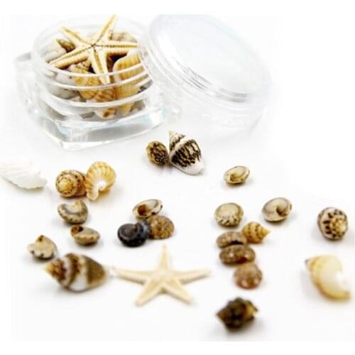 Small Natural Beach Seashell Starfish Nautical Decor Nail Art Jewelry Making