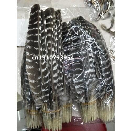 Wholesale high quality 10pcs scare Natural Rare pattern eagle feathers 20-40cm/8-16inch Decorative diy Jewelry accessories