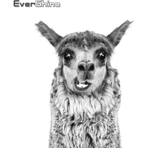 Evershine Diamond Painting Animals Cross Stitch 5D DIY Mosaic Embroidery Full Set Rhinestone Pictures Needlework Handmade Gift