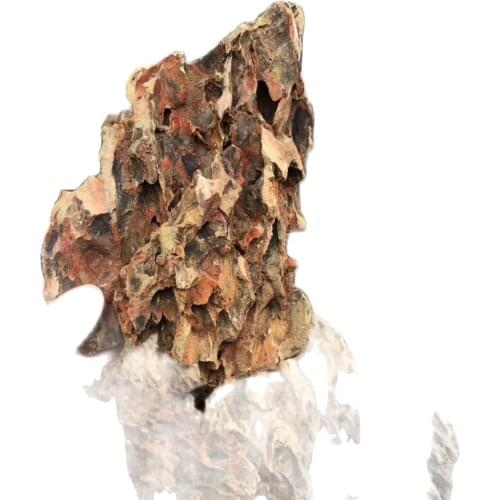 Landscape Fish Tank Dragon Stone Aquarium Stone Decoration Blue Dragon Aquarium Seiryu Stone