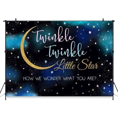 Twinkle twinkle Little Star Backdrop Twinkly Smart Gender Reveal Party Background Pink or Blue Photo Booth Backdrops
