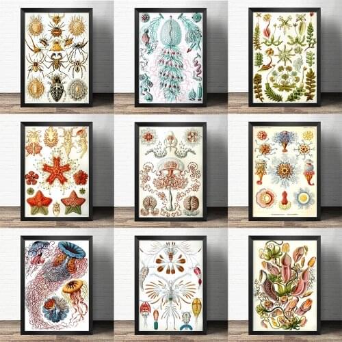 Popular science decorative painting early education Jellyfish Corals Green Algae Sea Anemones painting Retro poster kraft paper
