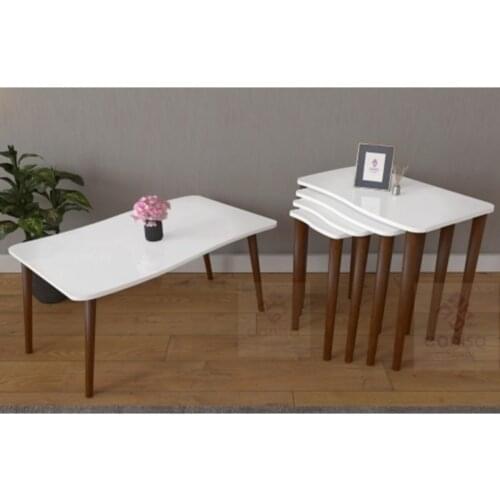 Modern Swan Series 4'lü Zigon Coffee table And Medium Coffee table Set/White-walnut coffe table